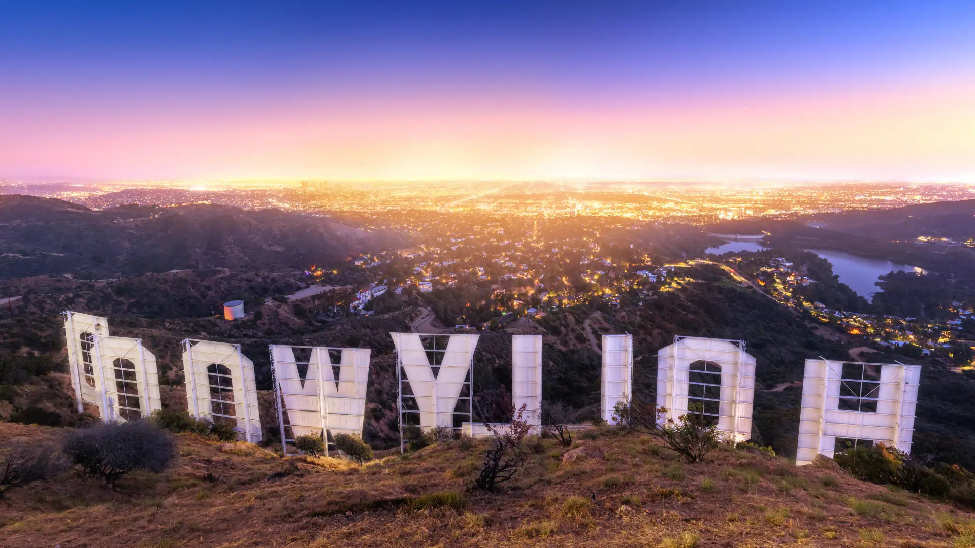 Hollywood backwards